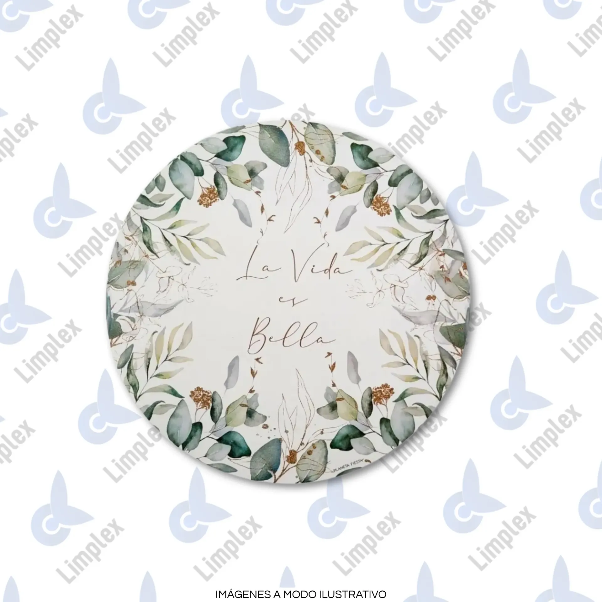 SET INDIVIDUALES DE PAPEL X10