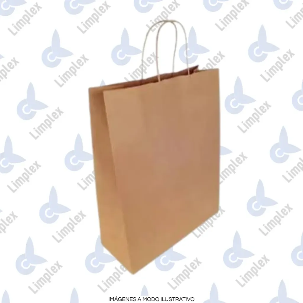 BOLSA KRAFT C/MAN. 25 X 35 X UN