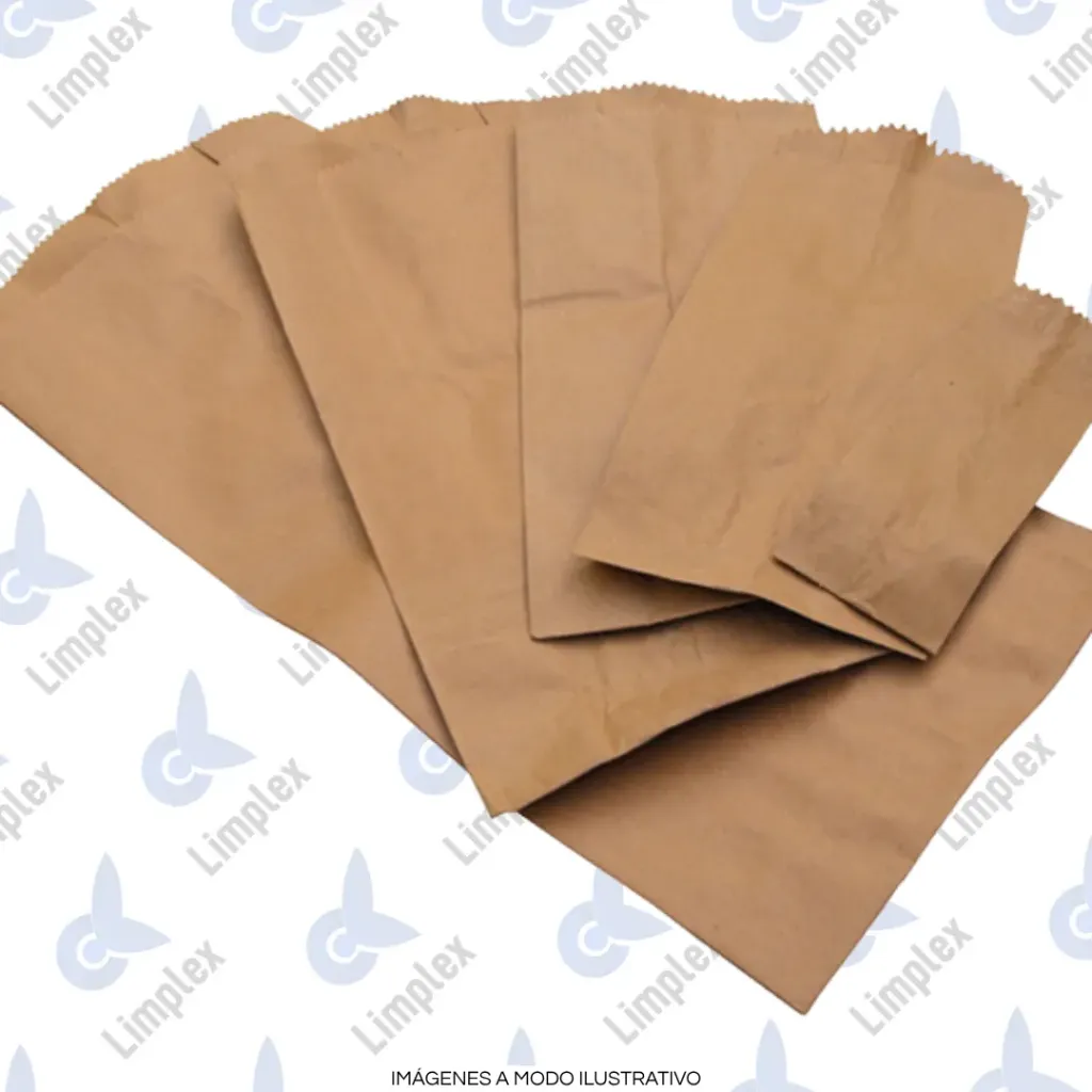 BOLSA PAPEL KRAFT 5 X 100