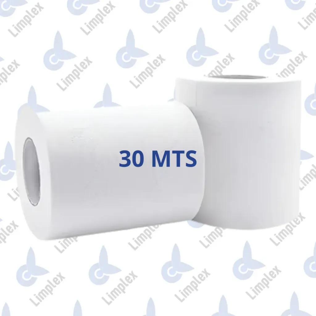 HIGIENICO SH X 30 MTS SIN MARCA ECO