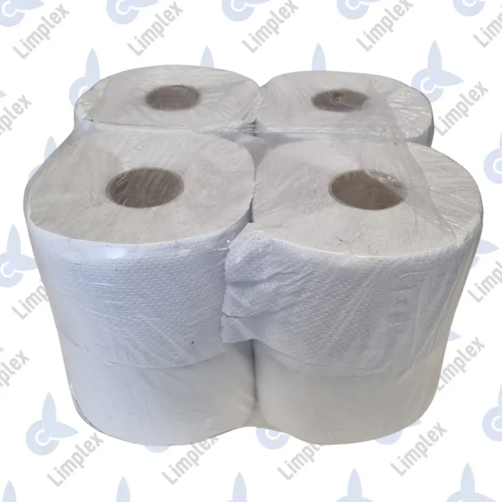 HIGIENICO CONO CHICO ECO 300MTS X 8 UN