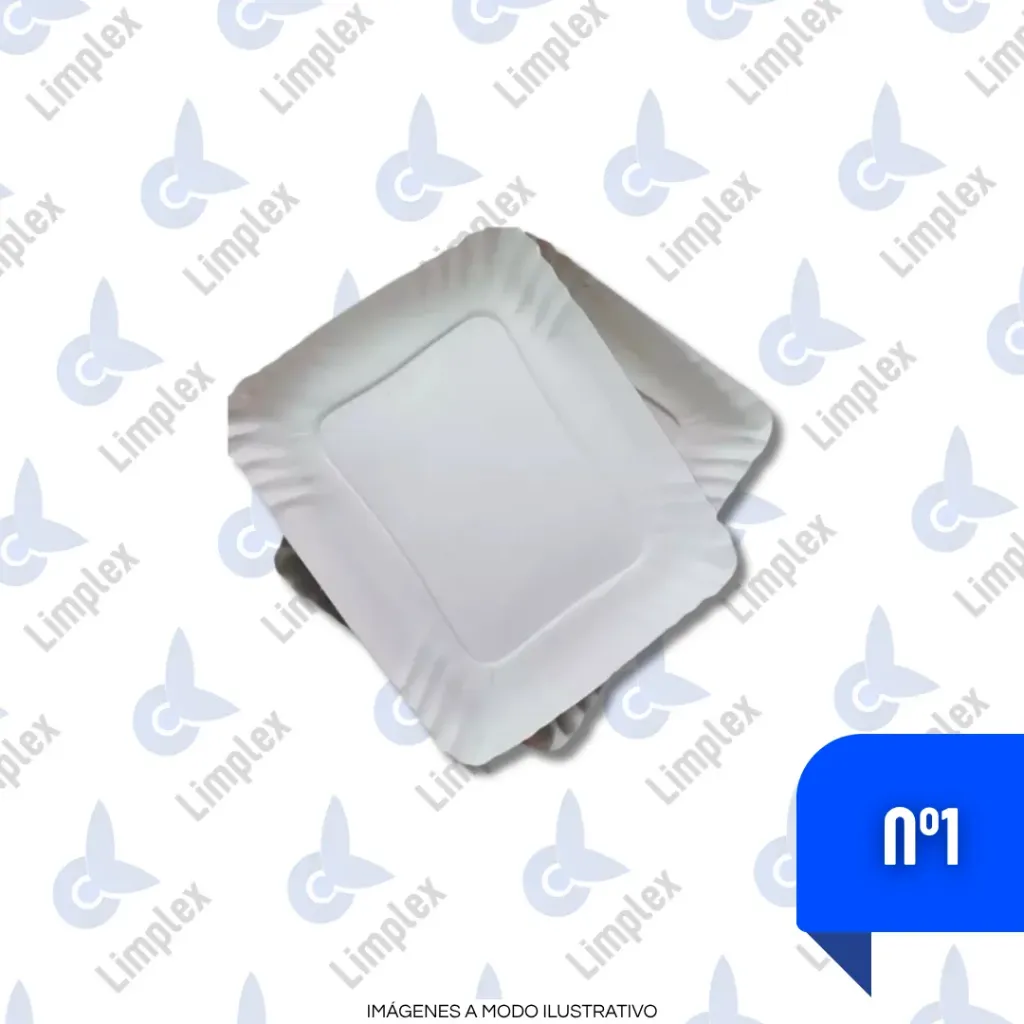 BANDEJA CARTON 1 X 100 UN
